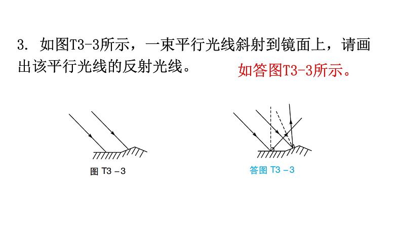 人教版八年级物理上册期末复习专题3作图题教学课件04