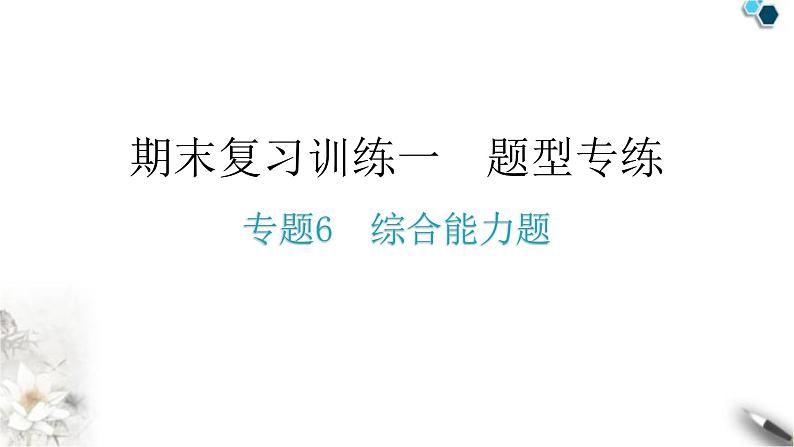 人教版八年级物理上册期末复习专题6综合能力题教学课件01