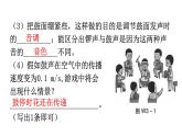 人教版八年级物理上册第二章综合专题提升课件