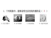 人教版八年级物理上册第四章综合专题提升五课件