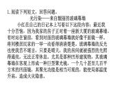 人教版八年级物理上册第四章综合专题提升七课件