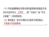 人教版八年级物理上册第四章综合专题提升七课件