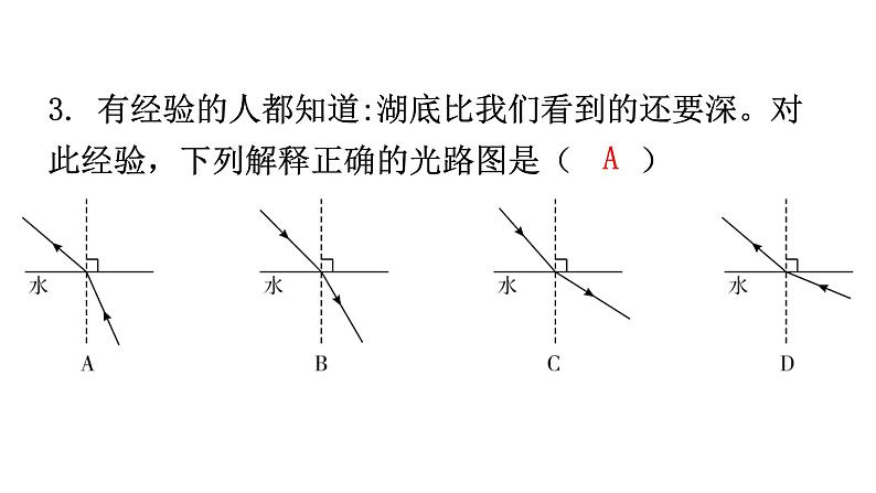 人教版八年级物理上册第四章第4节光的折射分层作业课件第4页