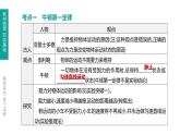 中考物理一轮复习课时突破练习课件 第09课时 牛顿第一定律　二力平衡 (含解析)