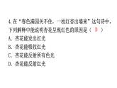 人教版八年级物理上册第四章过关训练课件