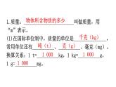 人教版八年级物理上册第六章质量与密度基础知识课件