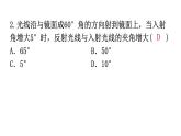粤教沪科版八年级上册物理第三章3-2探究光的反射规律练习课件