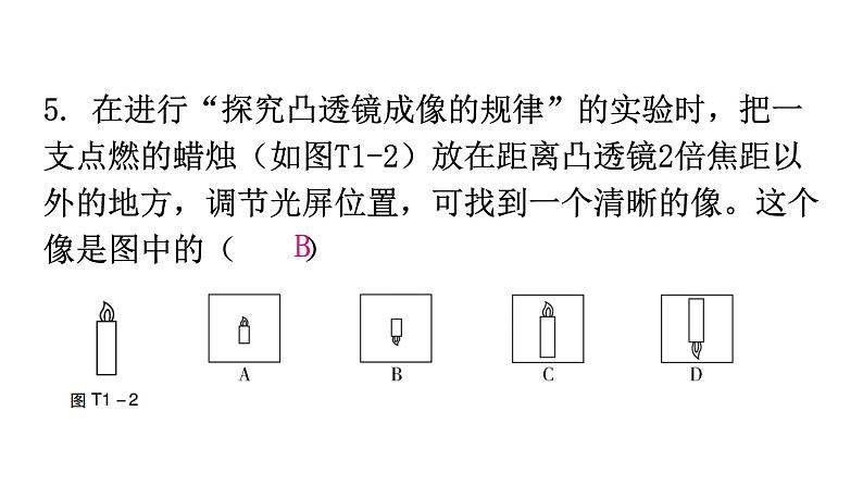 粤教沪科版八年级上册物理期末复习专题一基础题型训练(一)课件第6页