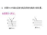 粤教沪科版八年级上册物理期末复习专题三作图题课件