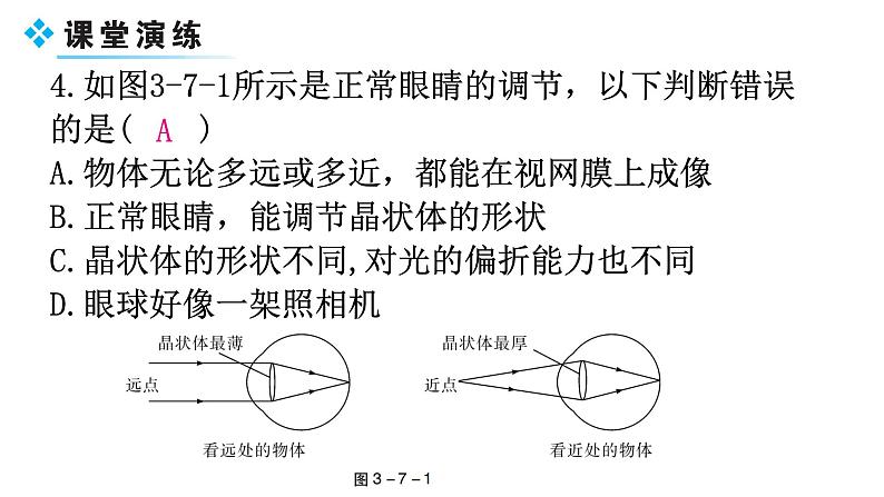 粤教沪科版八年级上册物理第三章3-7眼睛与光学仪器教学课件06