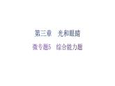 粵教滬科版八年級(jí)上冊(cè)物理第三章光和眼睛微專題5綜合能力題分層作業(yè)課件