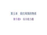 粵教滬科版八年級上冊物理第五章我們周圍的物質(zhì)微專題9綜合能力題分層作業(yè)課件