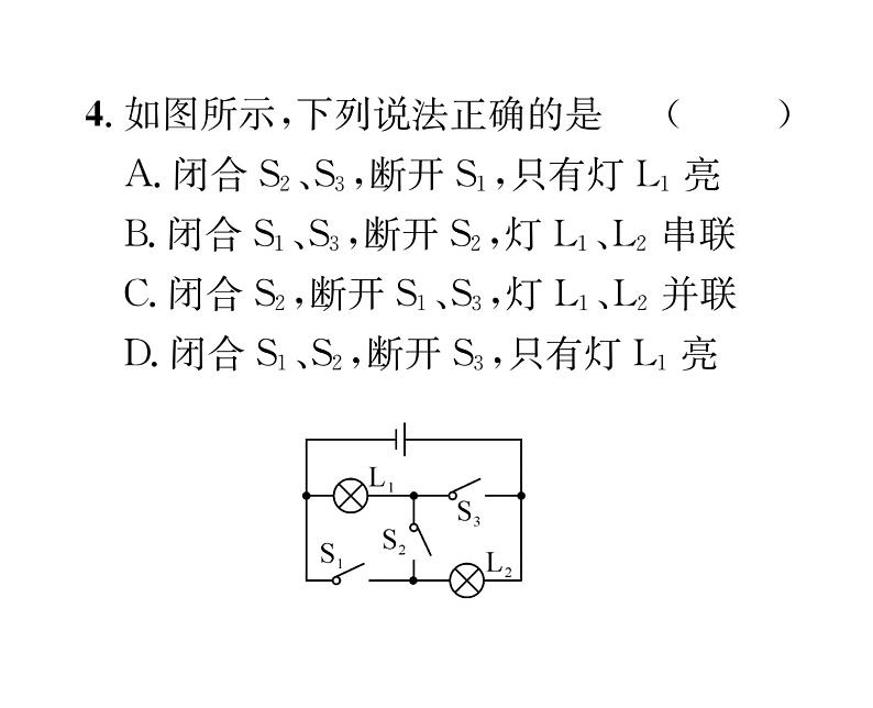 人教版九年级物理专项复习（3） 电流和电路ppt第5页