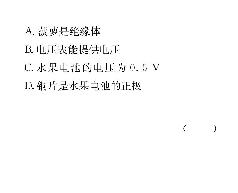 人教版九年级物理专项复习（4） 电压ppt第3页