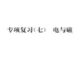 人教版九年级物理专项复习（7）电与磁课时训练ppt