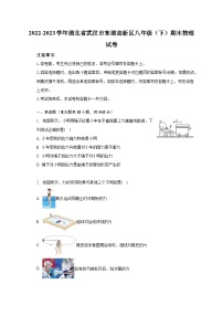 2022-2023学年湖北省武汉市东湖高新区八年级（下）期末物理试卷(含解析）