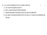 人教版九年级物理第20章综合评价课时训练ppt