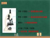 人教版八年级物理上册5.5 显微镜和望远镜课件