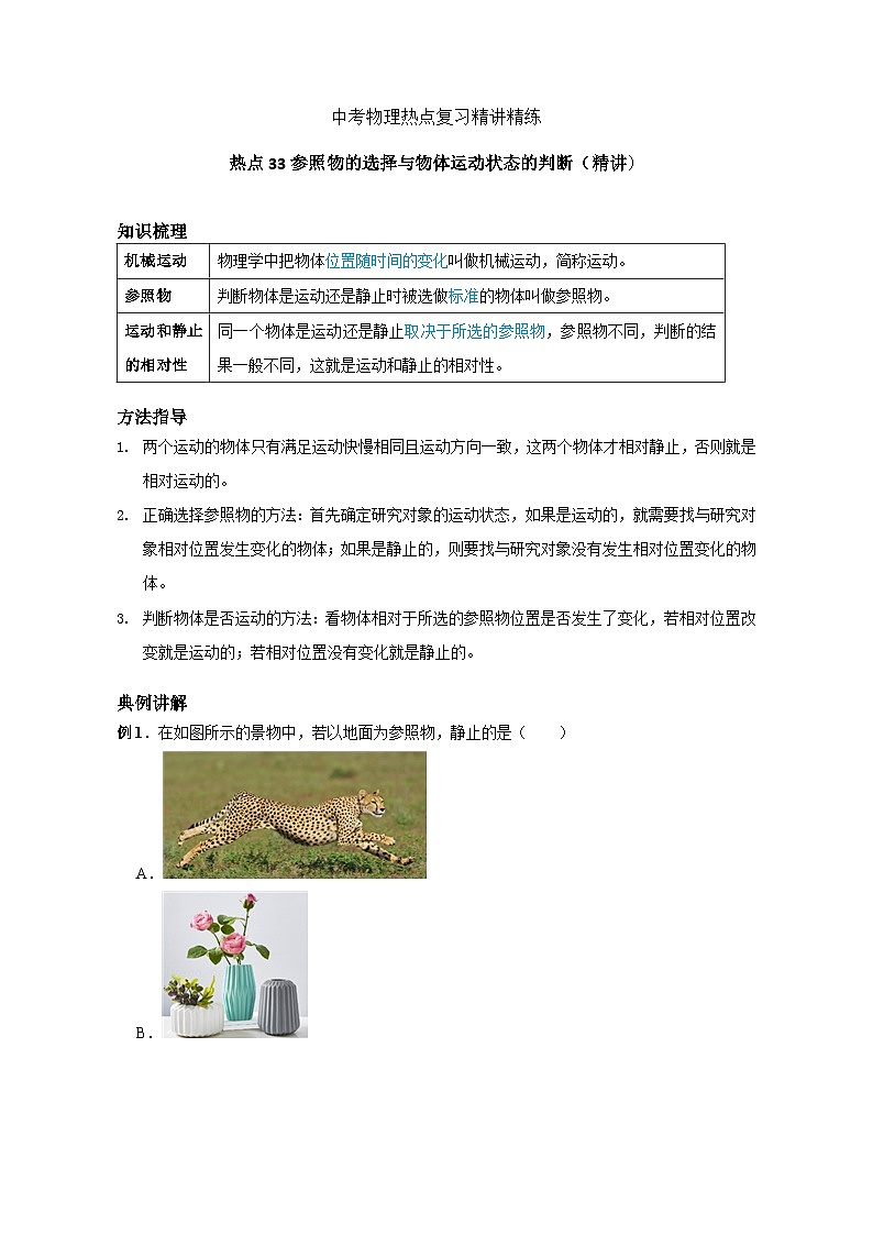备考2024年中考物理重难点精讲精练：64-热点33 参照物的选择与物体运动状态的判断（精讲）第1页