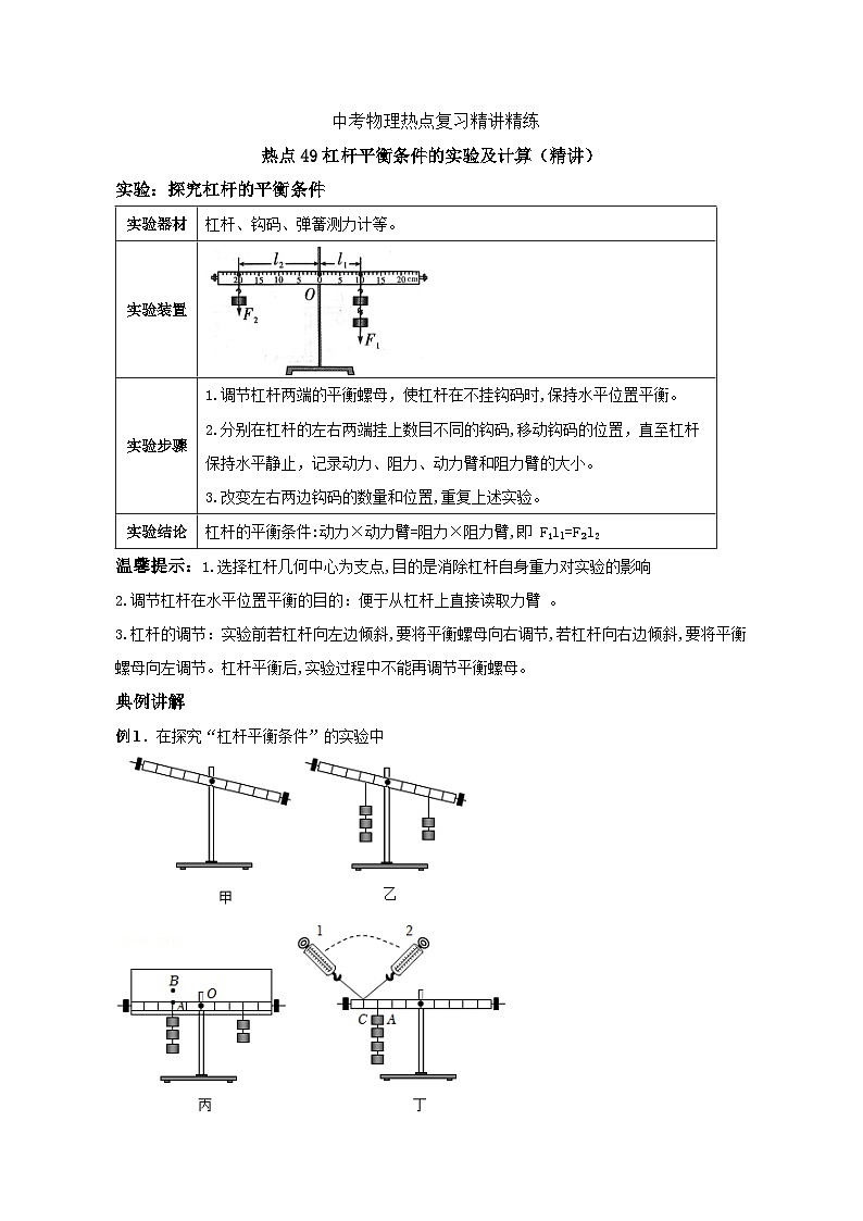 备考2024年中考物理重难点精讲精练：96-热点49 杠杆平衡条件的实验及应用（精讲）第1页