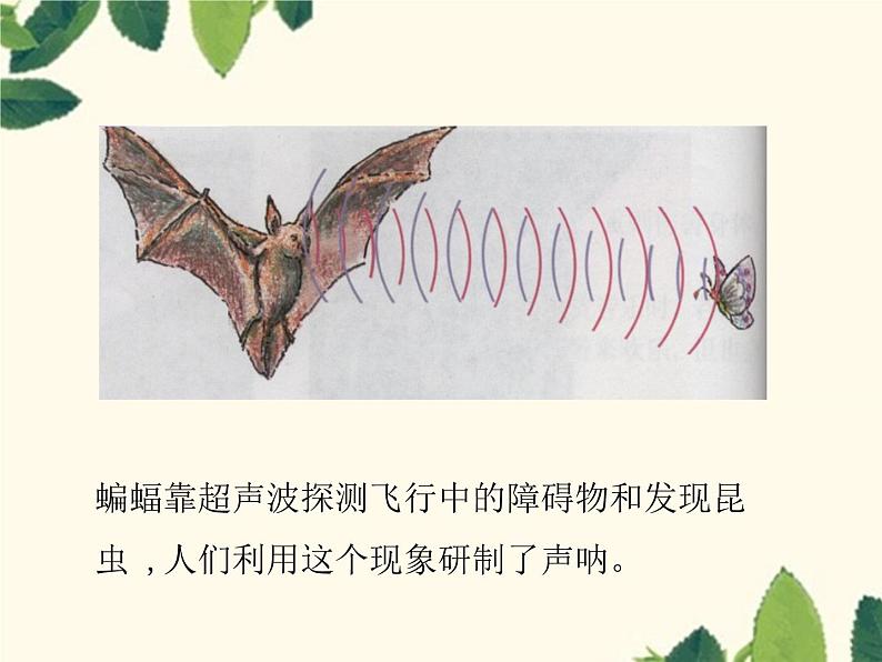 人教版物理八年级上册-2.3 声的利用(课件）第6页