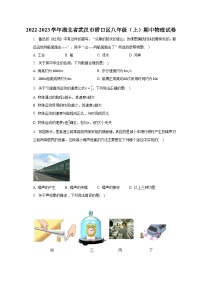 湖北省武汉市硚口区2022-2023学年八年级上学期期中物理试卷