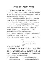 河南省周口市沈丘县沈丘县中英文学校2023-2024学年九年级上学期开学物理试题（含答案）