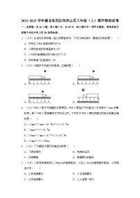 湖北省武汉市洪山区2022-2023学年八年级上学期期中物理试卷