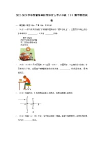 安徽省阜阳市界首五中2022-2023学年八年级下学期期中物理试卷