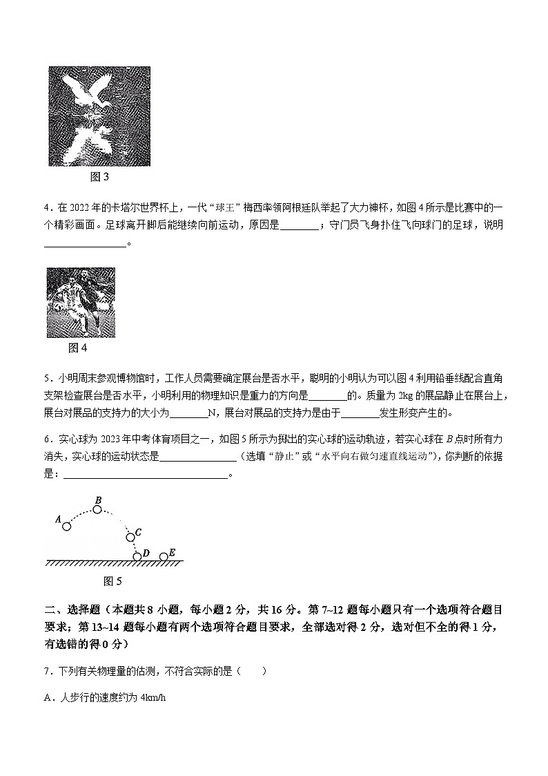 河南省信阳市信钢学校等5校2022-2023学年八年级下学期3月月考物理试题第2页