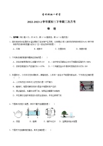 湖南省长沙市开福区青竹湖湘一外国语学校2022-2023学年八年级下学期第三次月考 物理试卷