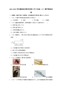 湖南省岳阳市岳阳八中2022-2023学年八年级上学期期中物理试卷