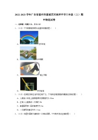 广东省惠州市惠城区河南岸中学2022-2023学年八年级上学期期中物理试卷