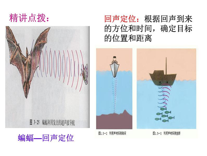 2.3《声的利用》PPT课件1-八年级物理上册【人教版】第6页