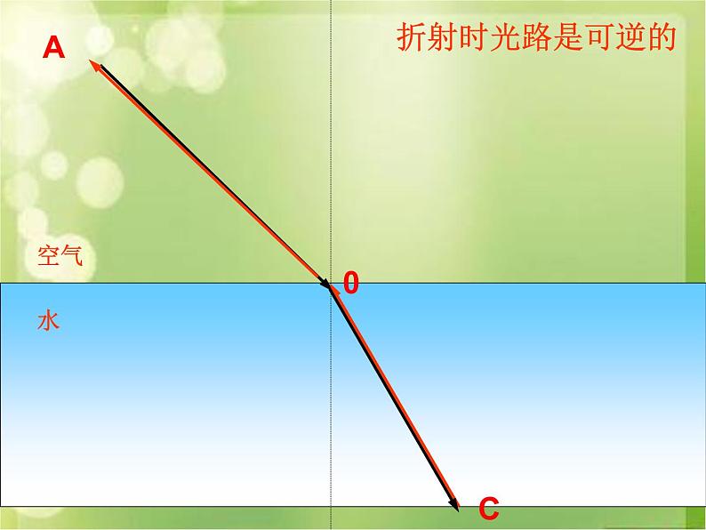 4.4《光的折射》PPT课件1-八年级物理上册【人教版】第6页