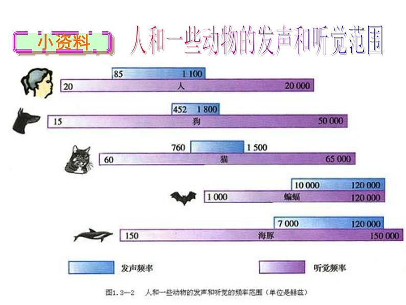 2.2《声音的特征》PPT课件3-八年级物理上册【人教版】第7页