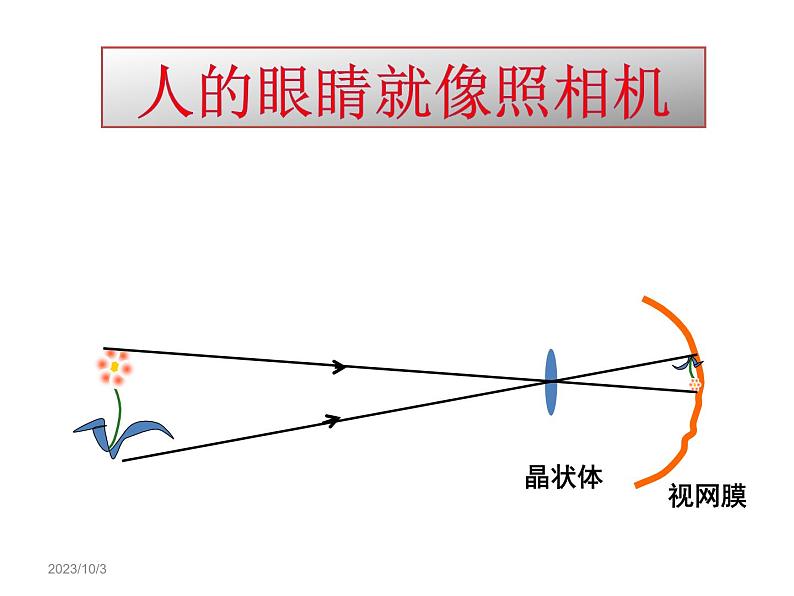 5.4《眼睛和眼镜》PPT课件1-八年级物理上册【人教版】第3页