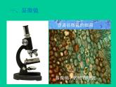 5.5《显微镜和望远镜》PPT课件2-八年级物理上册【人教版】