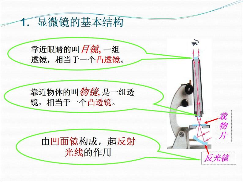 5.5《显微镜和望远镜》PPT课件4-八年级物理上册【人教版】第4页