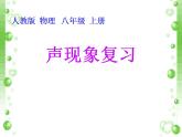 第二章《声现象复习课》PPT课件4-八年级物理上册【人教版】