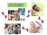 第二章《声现象复习课》PPT课件1-八年级物理上册【人教版】