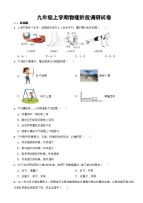 江苏省南京市2023年九年级上学期物理阶段调研试卷（附答案）