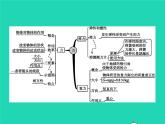 人教版物理八年级下册第七章《力》整合课件