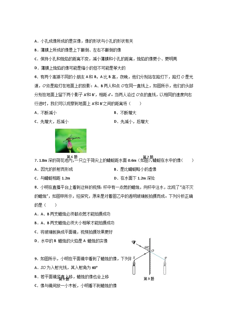 【期中单元测试】（苏科版）2023-2024学年八年级物理上册单元测试卷 第三章  光现象【单元测试·提升卷】02