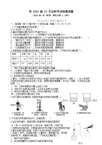 重庆市第十一中学2023-2024学年九年级上学期10月定时练习物理试题