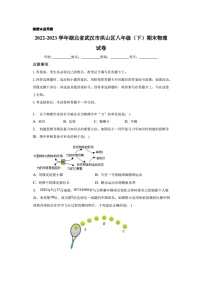 湖北省武汉市洪山区2022-2023学年八年级下学期期末考试物理试卷（含答案解析）