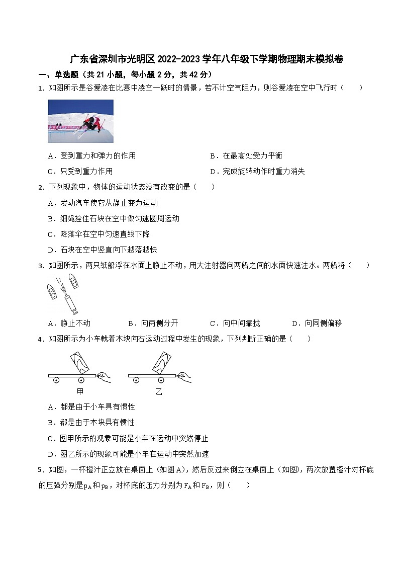 广东省深圳市光明区2022-2023学年八年级下学期物理期末模拟卷01
