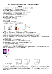 湖北省武汉市卓刀泉中学2023-2024学年九年级上学期十月测评物理试题