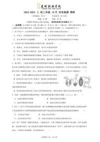 云南省昆明市润城学校2023-2024学年上学期九年级物理10月月考试卷