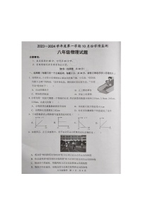 山东省济宁市金乡县2023-2024学年上学期八年级物理10月月考（月考）